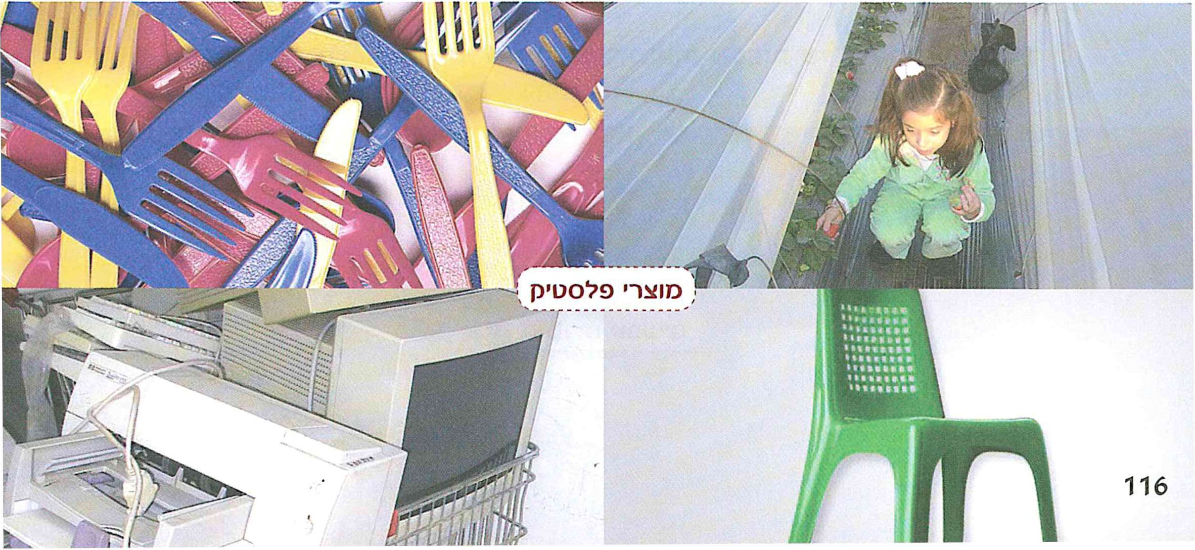 (בספר תמונות)